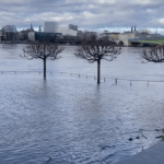 Hochwasser am Rheinufer Bonn