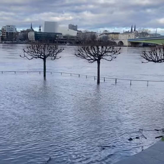 Hochwasser am Rheinufer Bonn