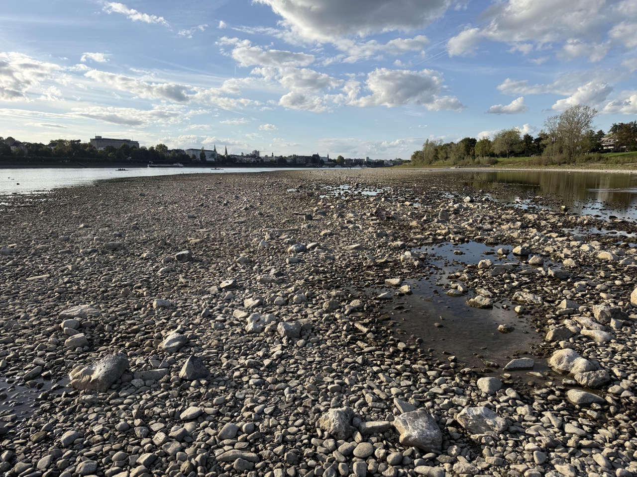 Niedrigwasser: Bonner Rheinpegel sinkt weiter – Rohwert (59 cm) unter dem bisherigen Minimum